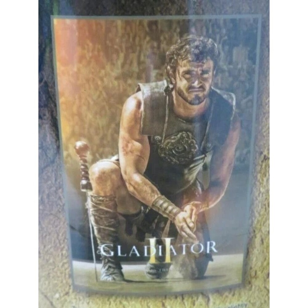 AMC Theatres Gladiator II Lucius Sherpa Blanket Size 40 X 60 NWT
